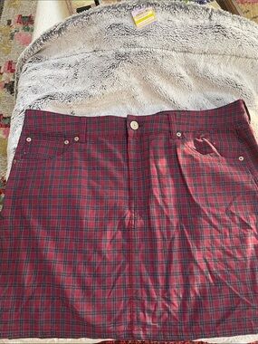 American Eagle Outfitters Red Plaid Mini Skirt